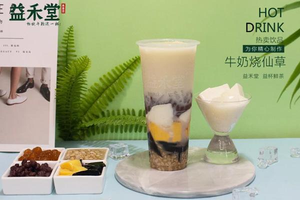 开茉莉奶白店多少钱