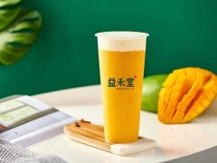 茉莉奶白奶茶加盟需要多少钱？5万元可以选择加盟吗