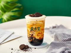 茉莉奶白奶茶加盟店，让大学生创业无压力